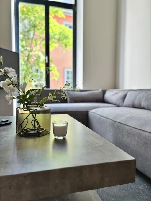 Apartment X-loft