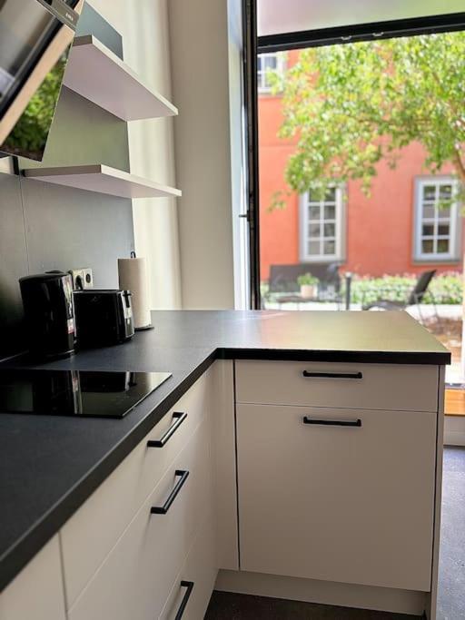 X-loft Apartment *