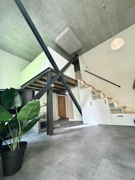 X-loft Apartment