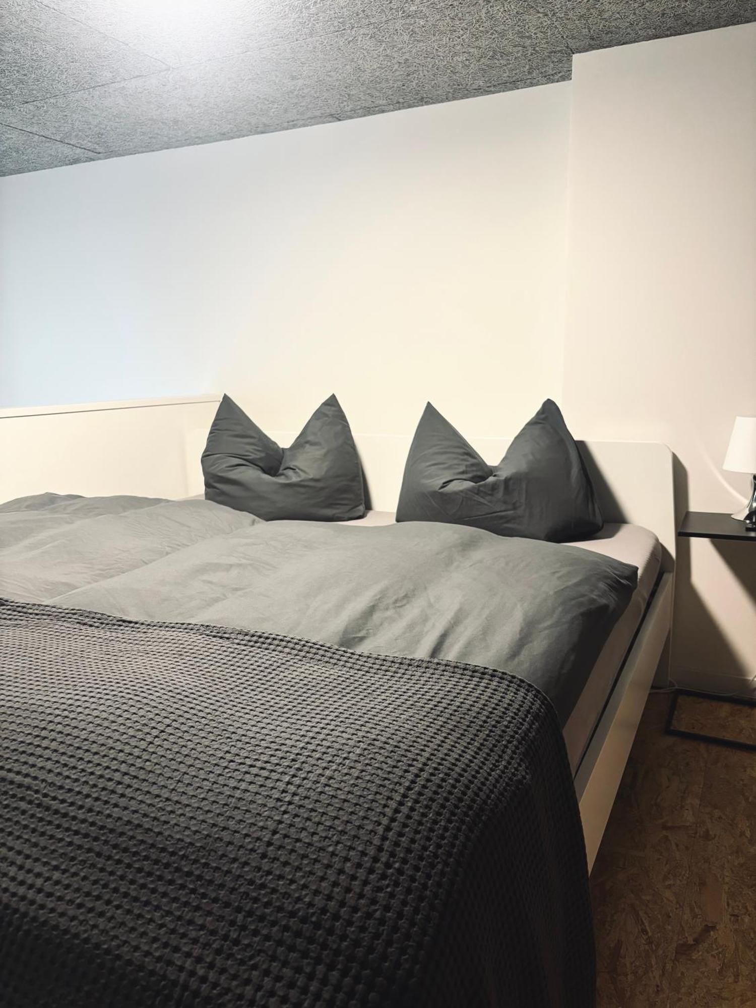 X-loft Apartment